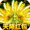 传奇国度ios