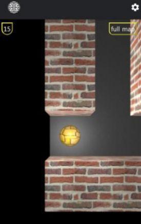 经典脑3D迷宫Brain 3D Maze2.jpg