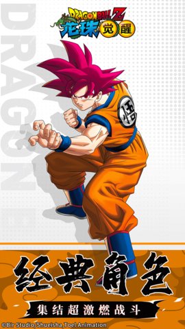 龙珠觉醒果盘版3.jpg