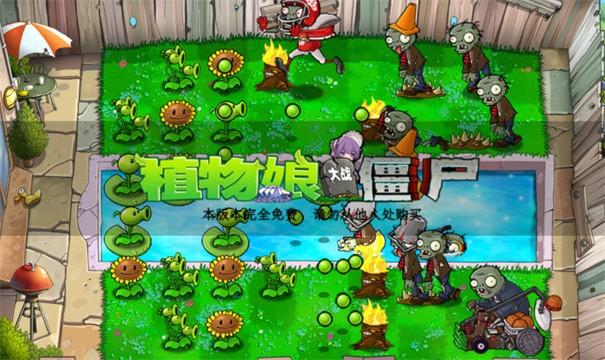 植物娘大战僵尸4.jpg