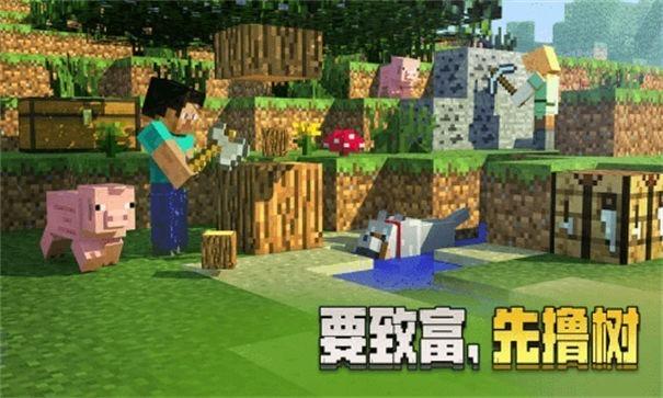 我的世界高清版2.jpg