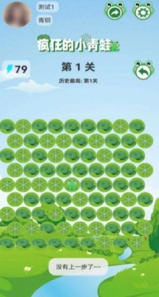 疯狂的小青蛙2.jpg