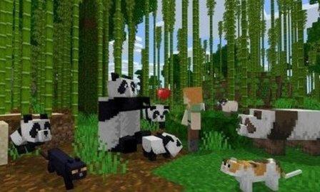 我的世界1.20版3.jpg