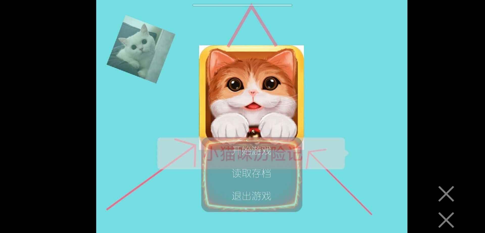 小猫咪历险记5.jpg