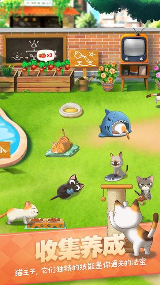 猫语咖啡中包包属性详解，解锁你的专属萌宠装备