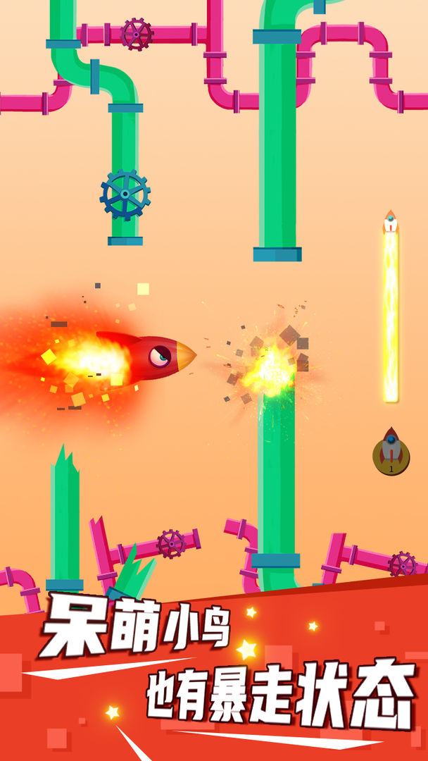 疯狂的小鸟2.jpg