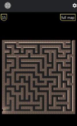 经典脑3D迷宫Brain 3D Maze1.jpg