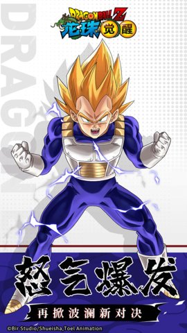 龙珠觉醒果盘版2.jpg