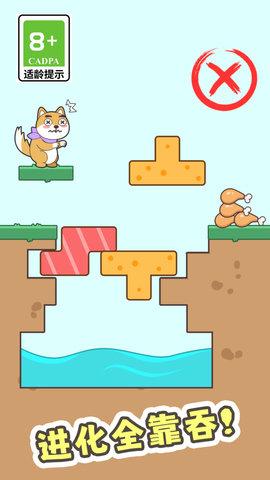 狗狗搭桥大冒险3.jpg