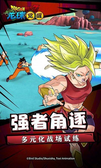 龙珠觉醒破解版1.jpg