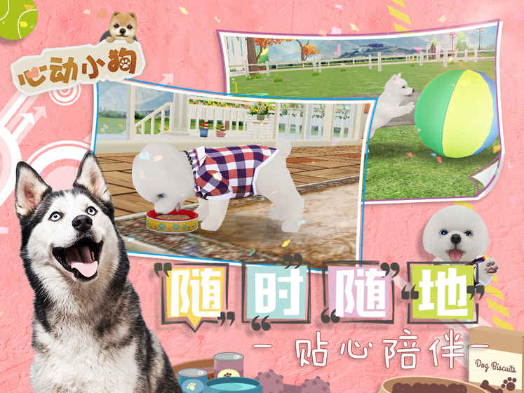 心动小狗1.jpg