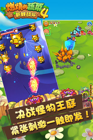 燃烧的蔬菜4新鲜战队3.jpg