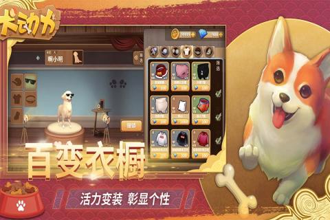 犬动力2.jpg