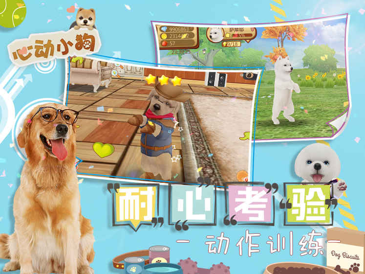 心动小狗4.jpg