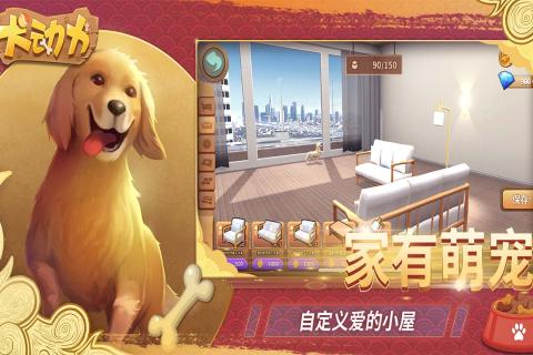 犬动力4.jpg