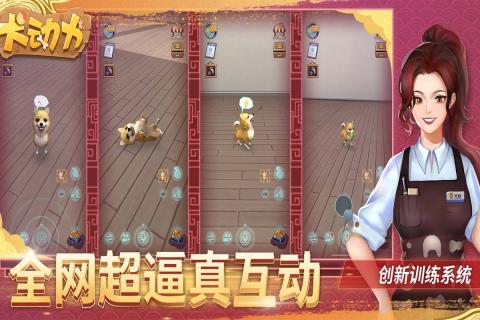 犬动力3.jpg