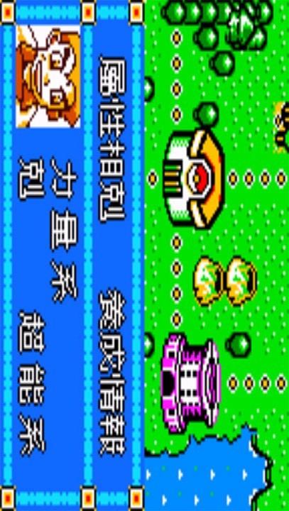 口袋怪兽：蓝宝石2.jpg