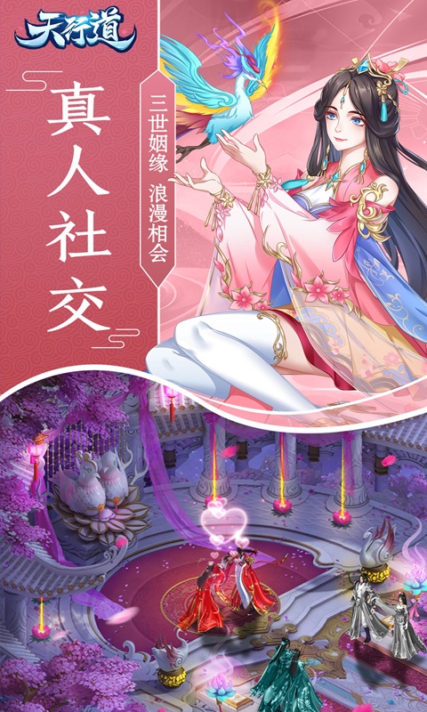 天行道4.jpg
