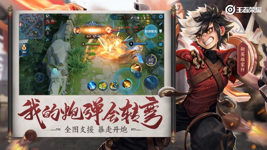 王者农药2022版1.jpg