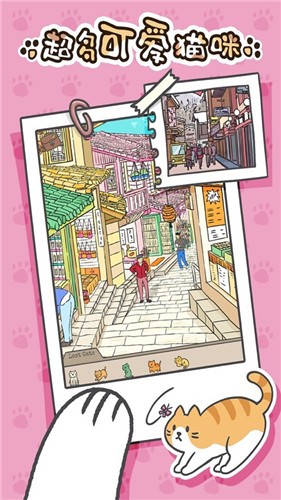 猫咪在哪里1.jpg
