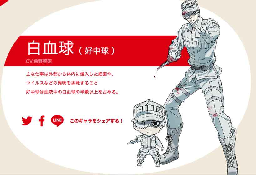 永远的工作细胞1.jpg