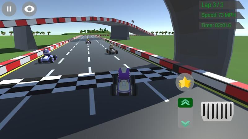 MiniSpeedyRacers1.jpg