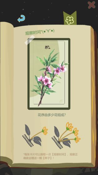 探索老农种树专注模式的独特价值与实用功能