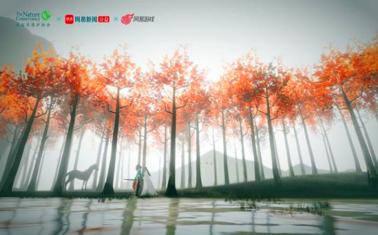 网易大自然守护者计划3.jpg