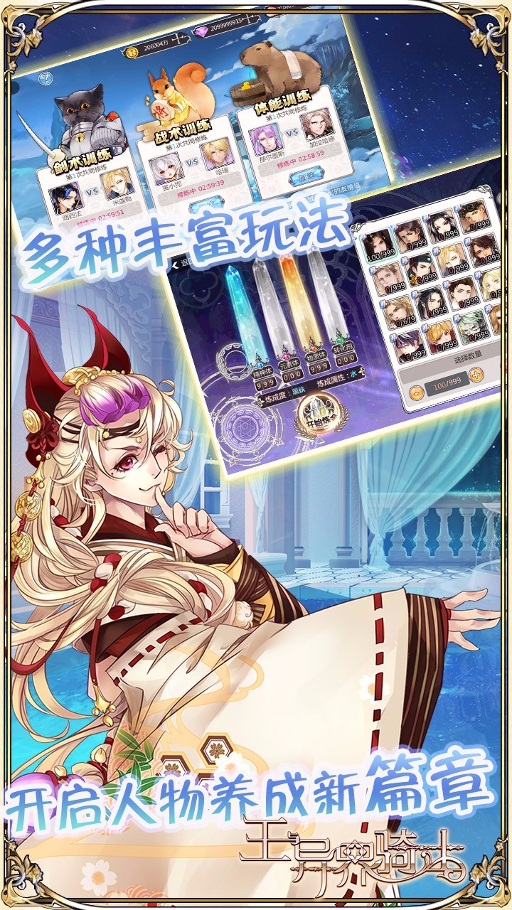 王与异界骑士安卓版3.jpg