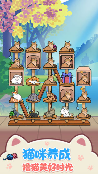 猫咪公寓2022版2.jpg