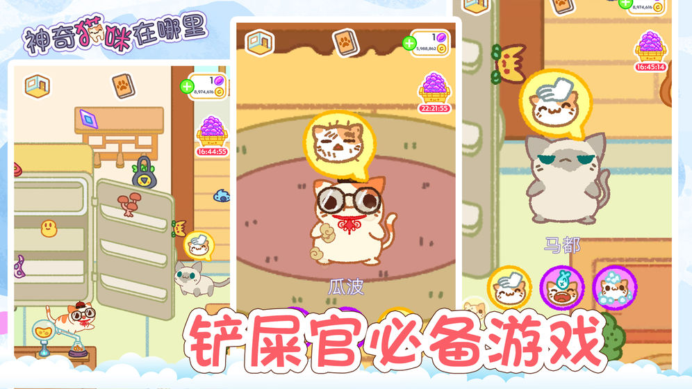 神奇猫咪在哪里3.jpg