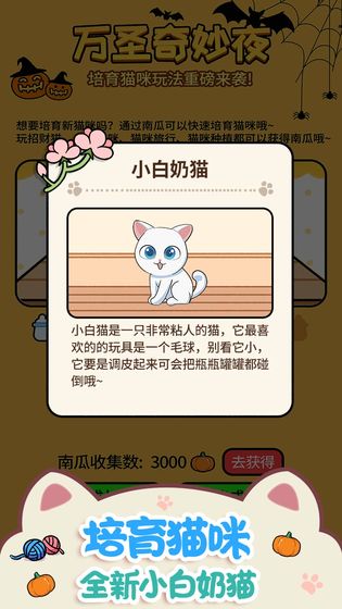 猫咪公寓2022版1.jpg