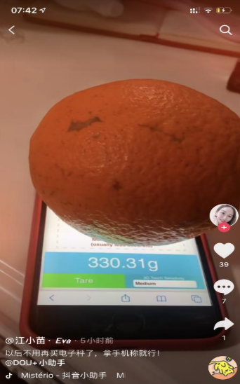 touchscale3.jpg