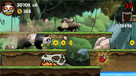 PandaRun2.jpg