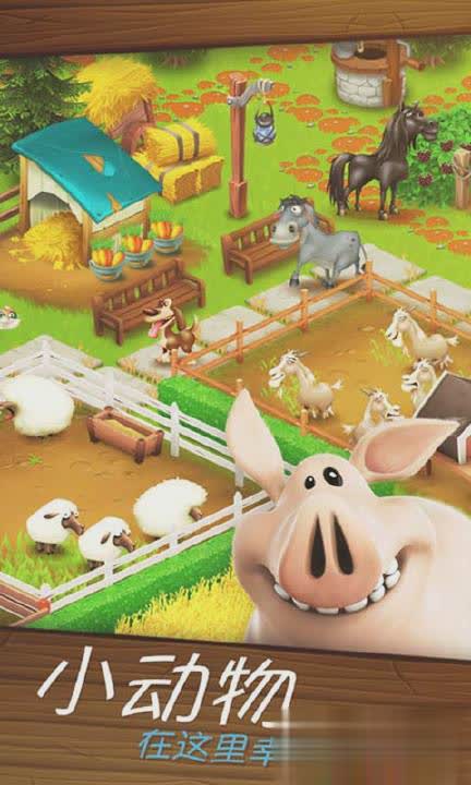 hay day游戏2.jpg