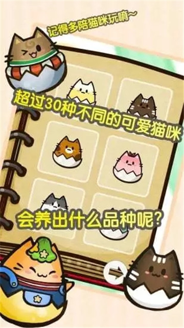 赚钱猫红包版1.jpg