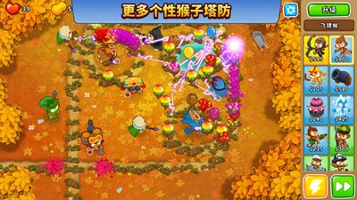 气球塔防6玩家必备：黑话大全与游戏术语解析