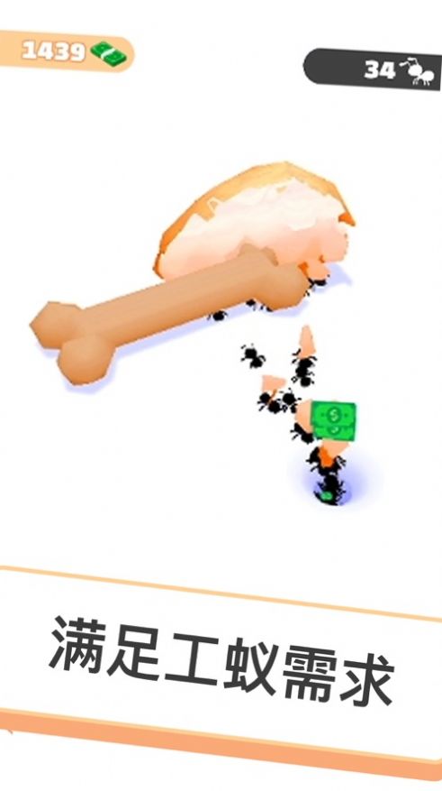 小蚁帝国1.jpg