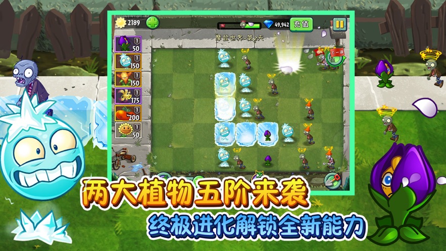 植物大战僵尸2迎元旦2.jpg