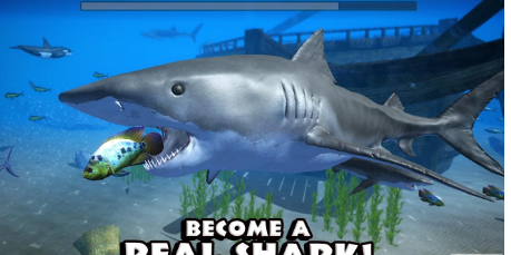 鲨鱼模拟器1.jpg