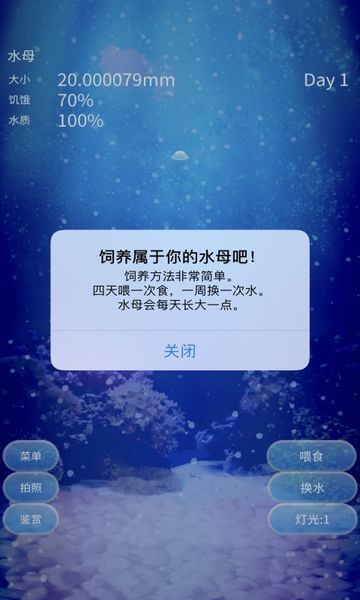 治愈的养成水母游戏5.jpg