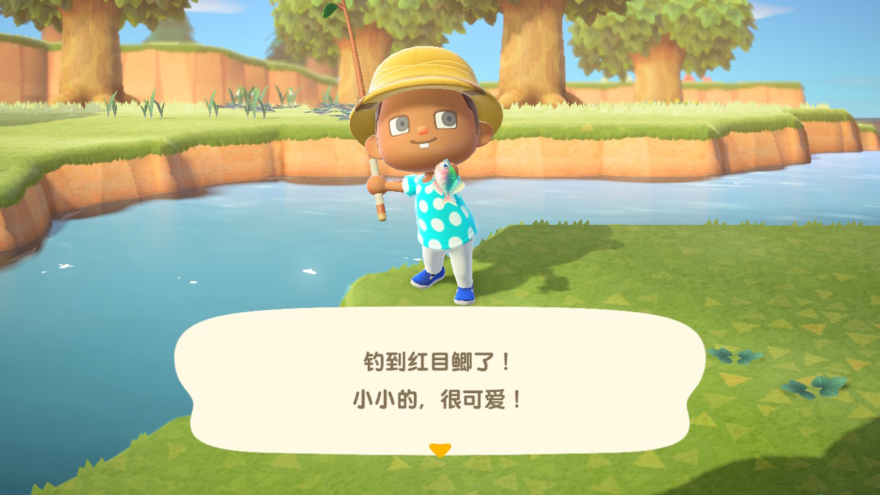 动物森友会流星雨出现时间详解