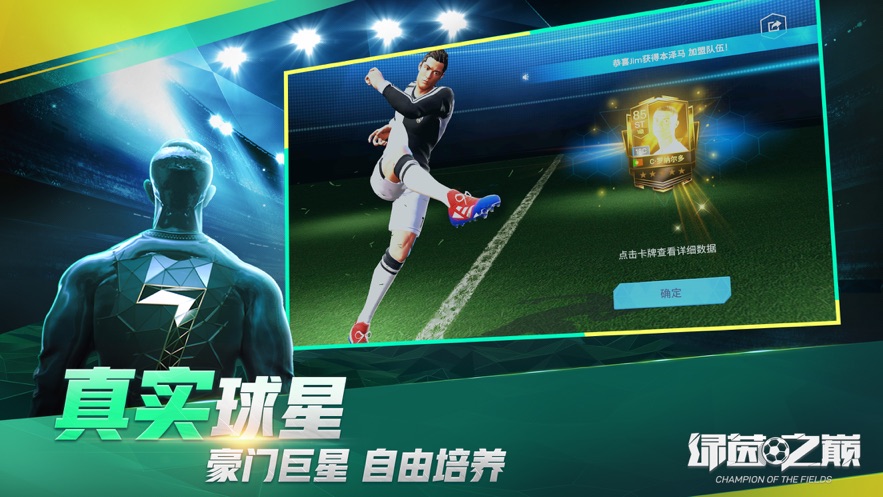 绿茵之巅新版3.jpg
