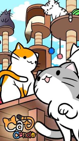 猫咪公寓1.jpg